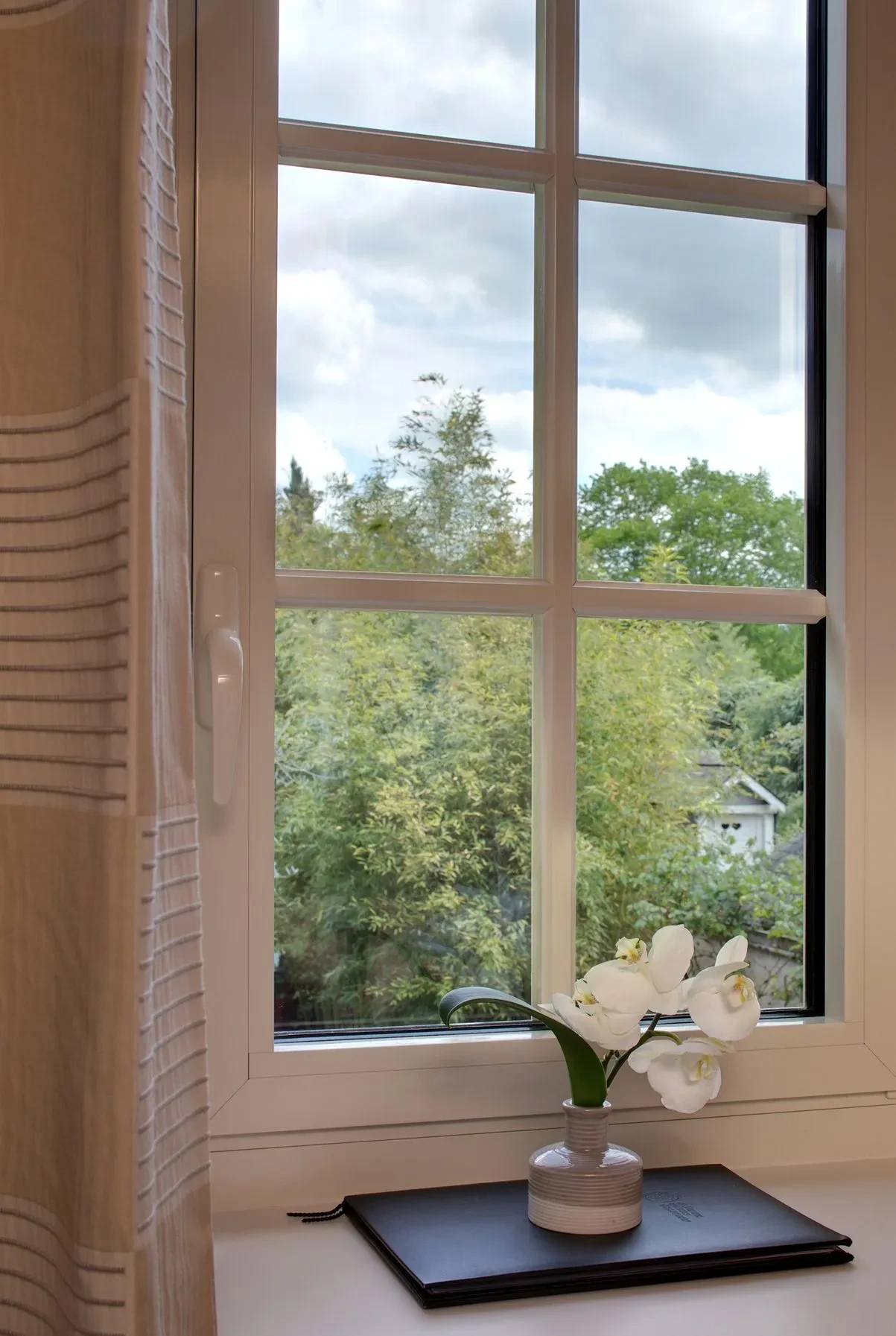 Fenêtre avec vue sur jardin verdoyant et orchidée